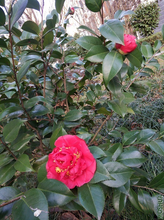 ΢��ͼƬ_20210218095118.jpg