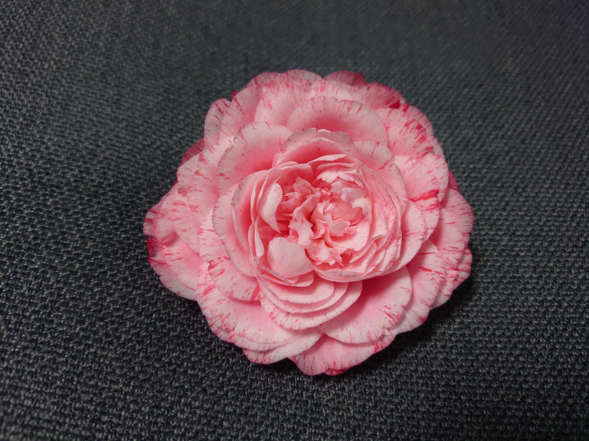 DSC_9108.JPG