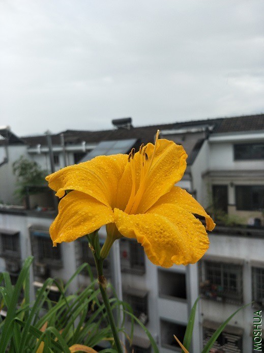 IMG20200611085610.jpg