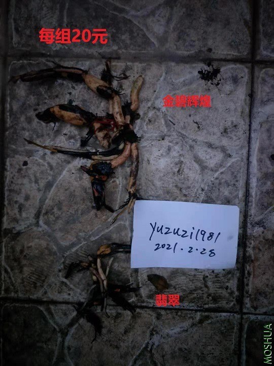 ΢��ͼƬ_20210228185225.jpg