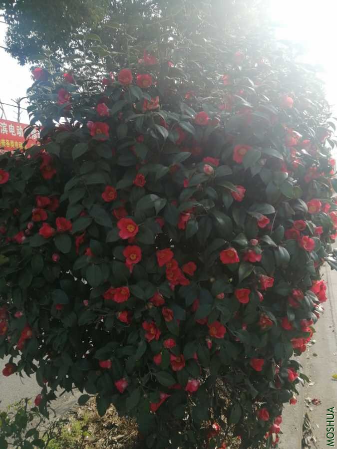 IMG_20210224_085328.jpg