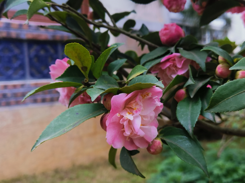 IMG_20210227_110239.jpg