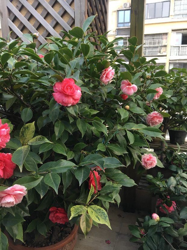 26DB86AB-7477-4A51-8E01-8681FD0B3339.jpeg