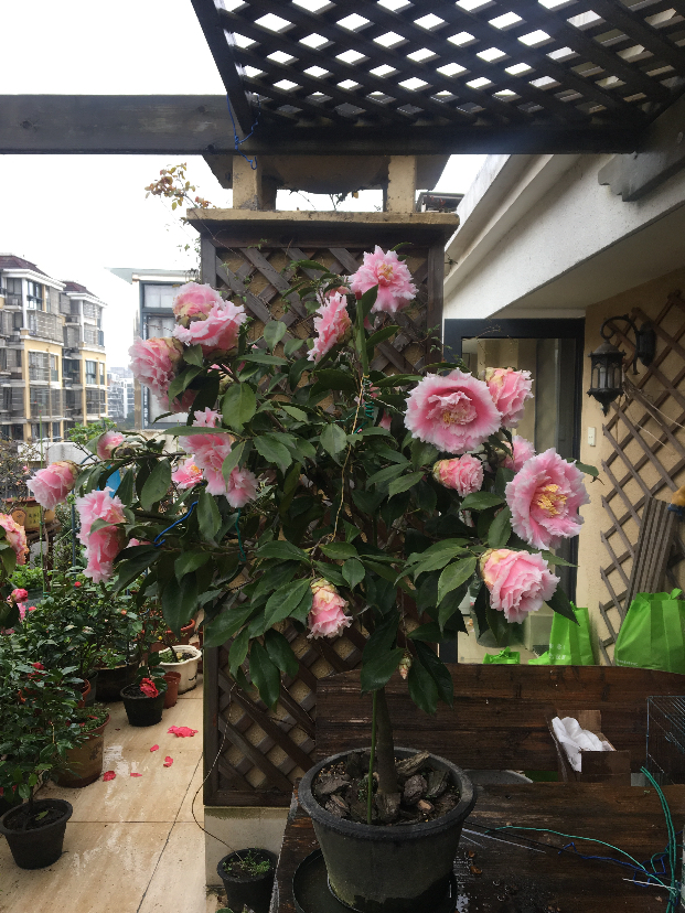 6B954790-9E1A-4384-8B1A-371E3C615257.jpeg