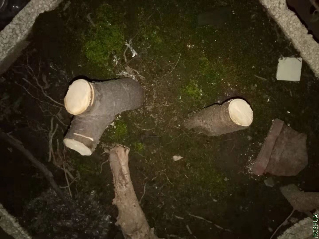 ��� ���� �ѽض� ֦���ֶ�5����