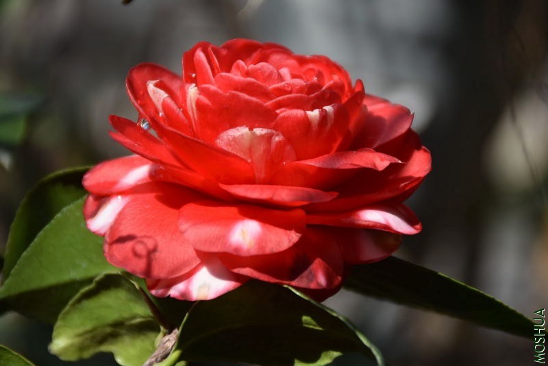DSC_01190119.JPG