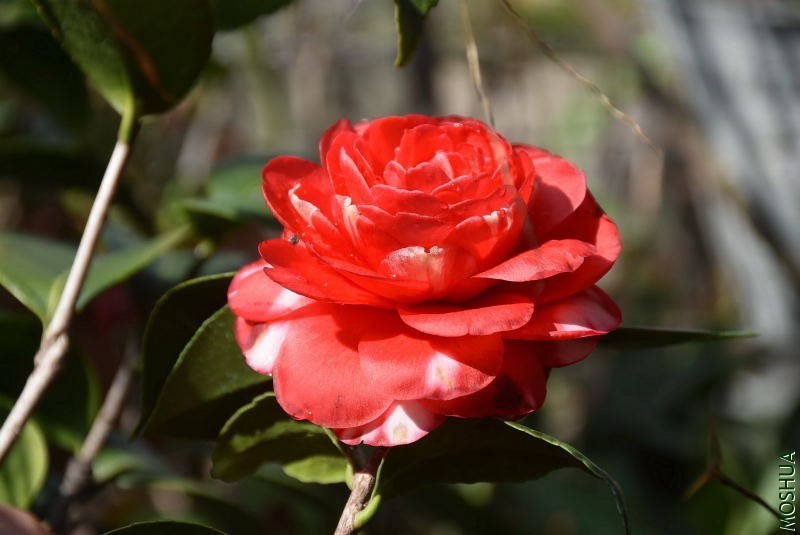 DSC_01290129.JPG