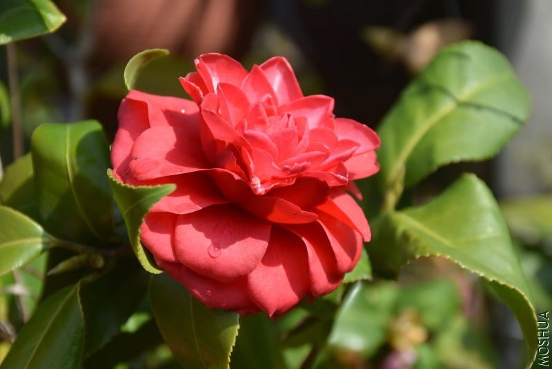 DSC_01020102.JPG