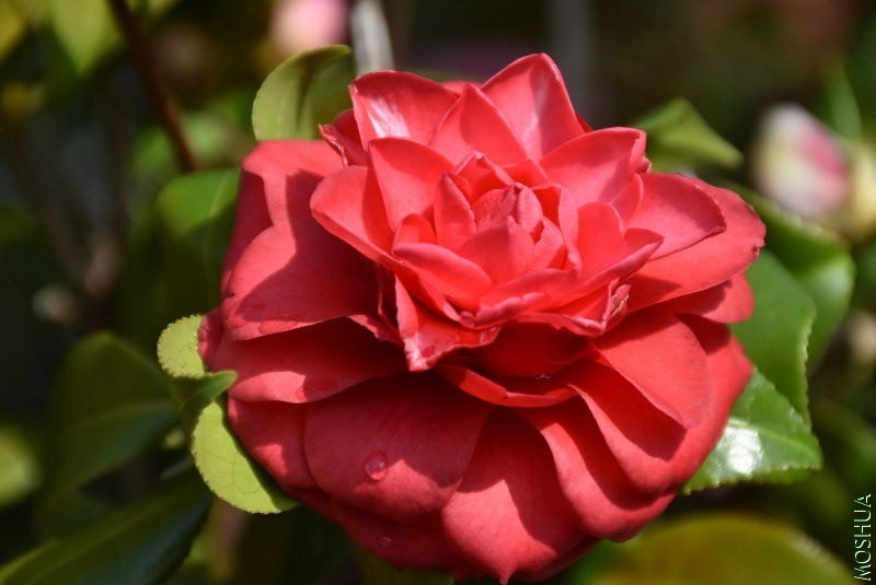 DSC_01160116.JPG