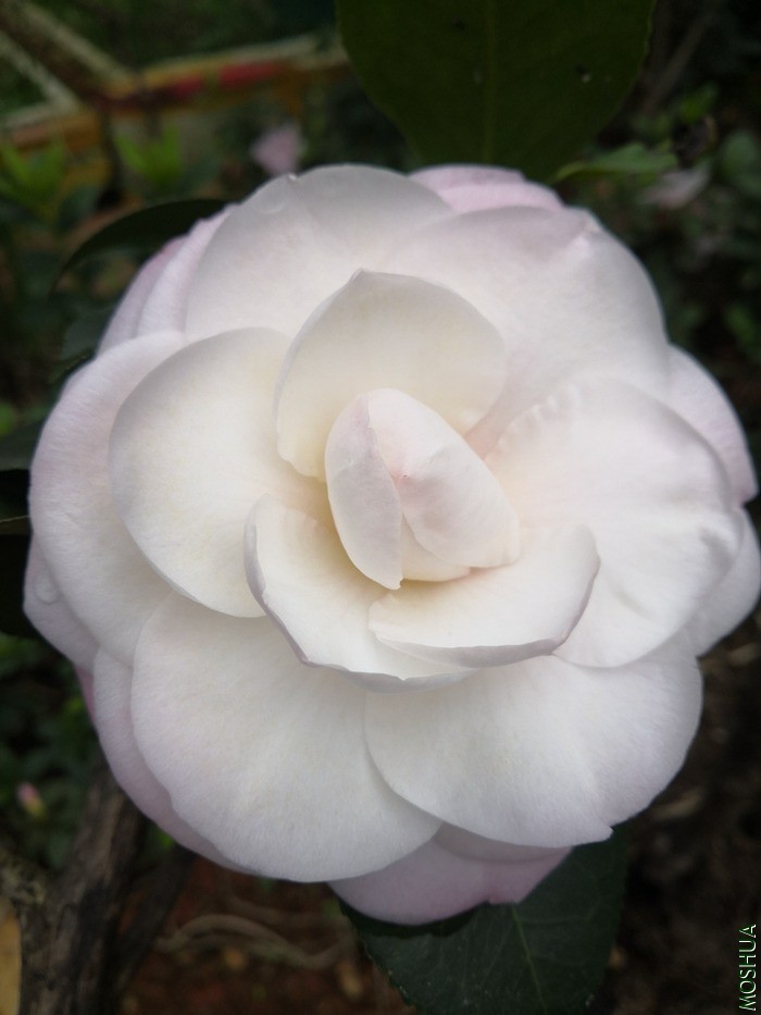 IMG_20201218_143840.jpg