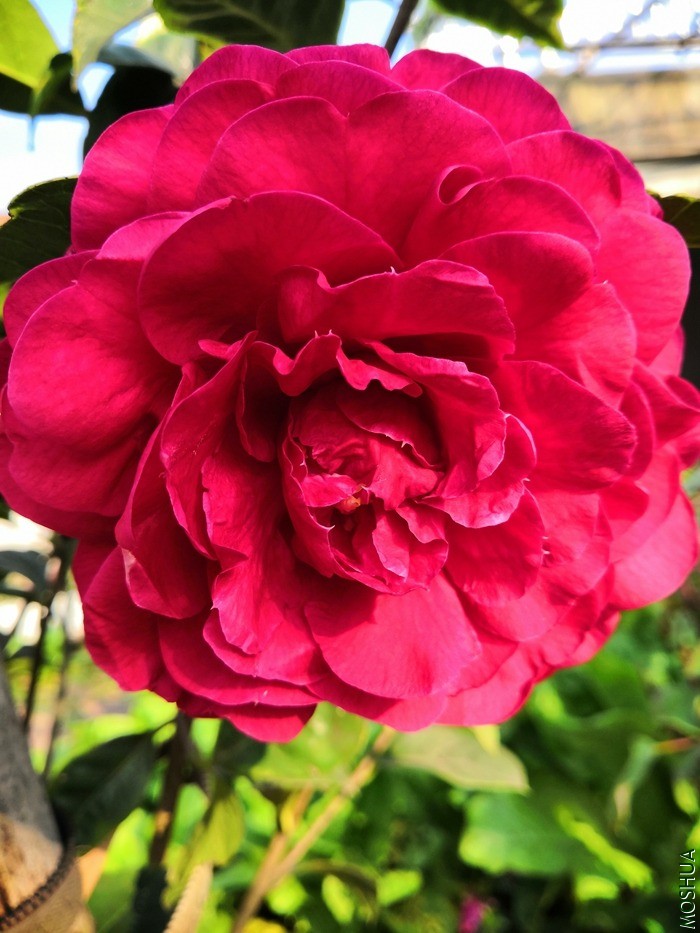IMG_20210220_165207.jpg