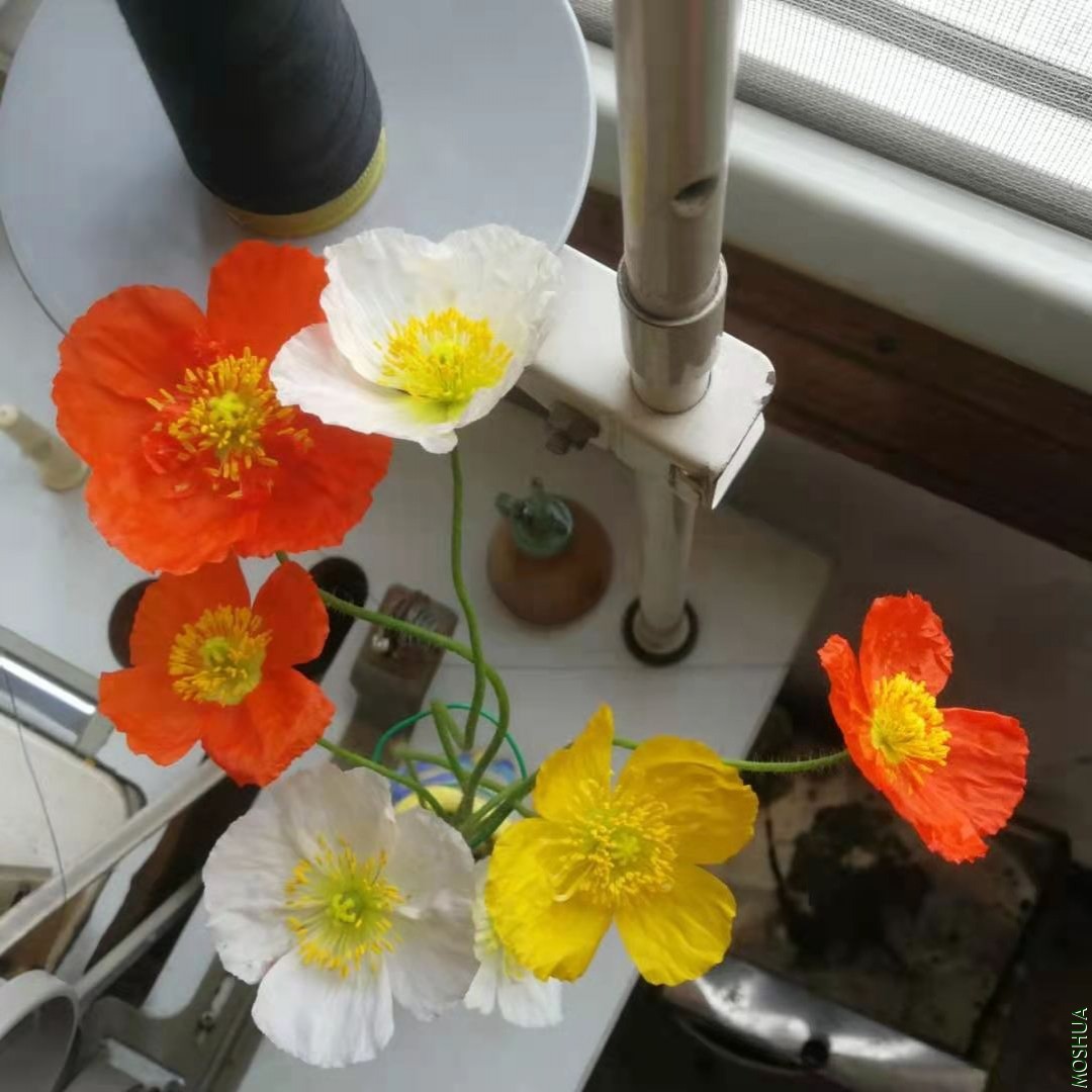 ΢��ͼƬ_20210314152021.jpg