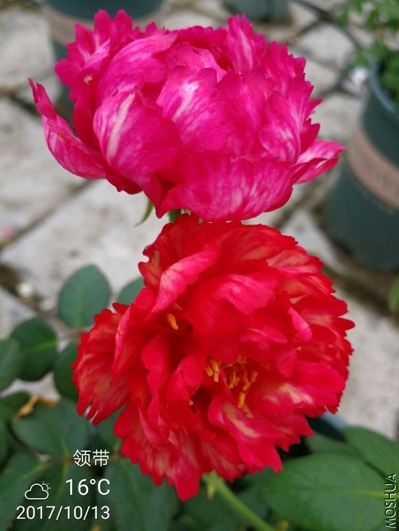 ���(230).jpg