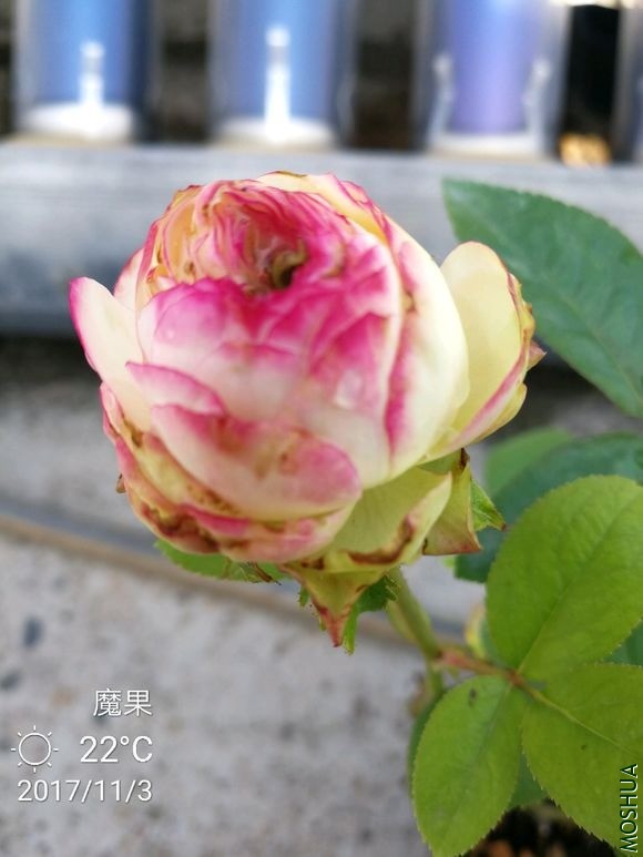 ħ�� (2).jpg