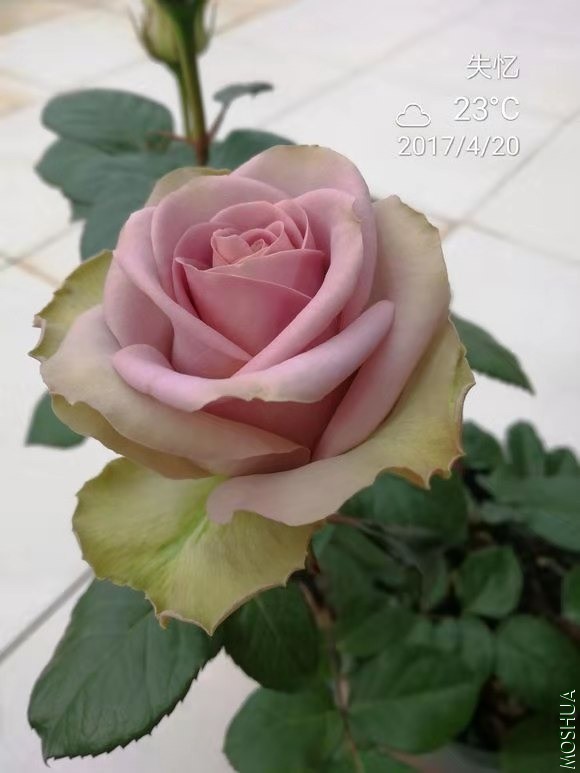 ΢��ͼƬ_20210314141411.jpg