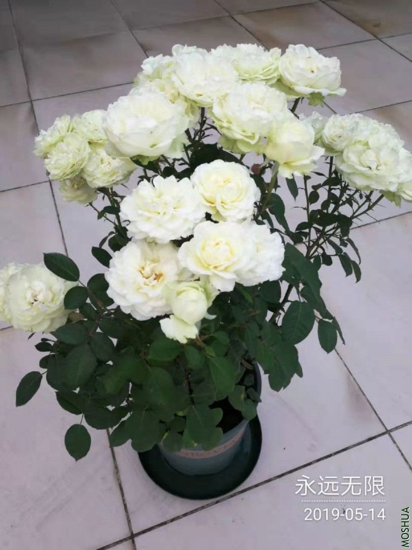 ΢��ͼƬ_20210314141000.jpg