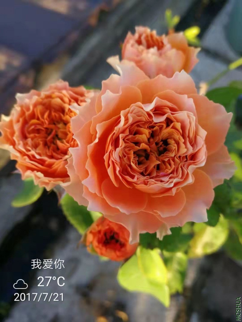 ΢��ͼƬ_20210314141613.jpg