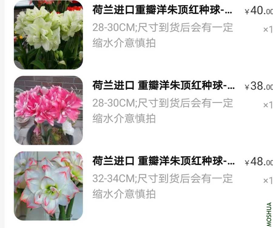 Screenshot_20210323_142200_com.taobao.taobao_edit_130248973897833.jpg