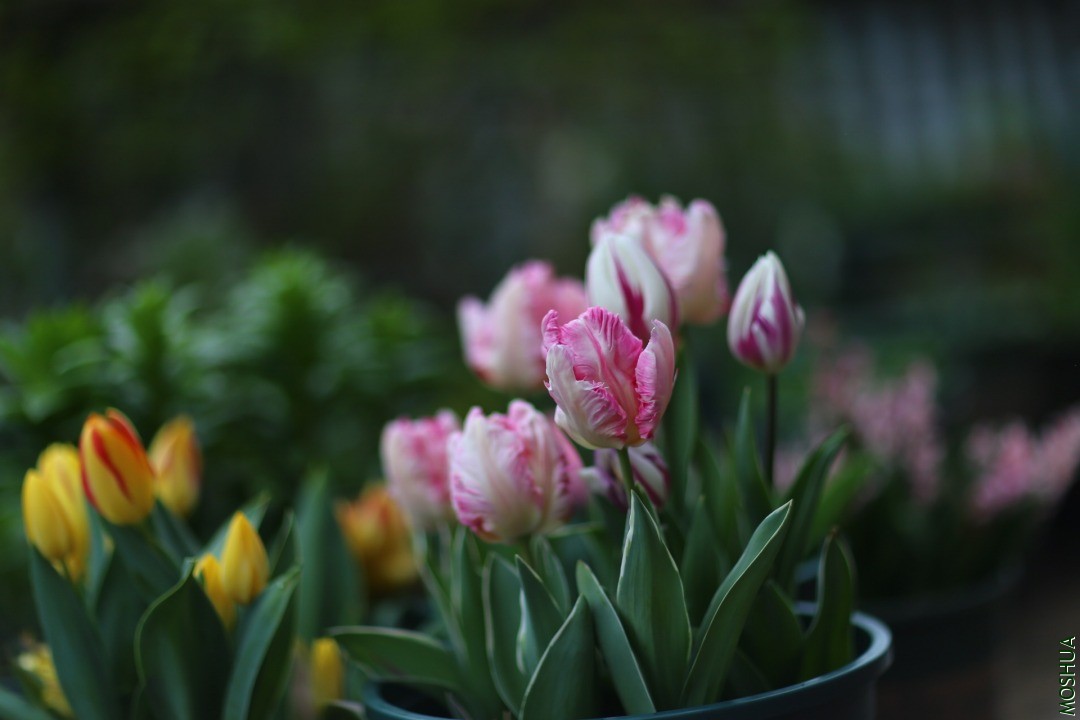 2021-03-20 104343.jpg