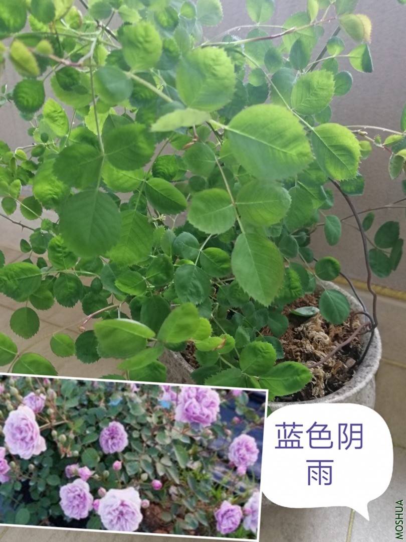 5448A6EC-488F-4A22-BFC6-24206D7D2BFC.jpeg