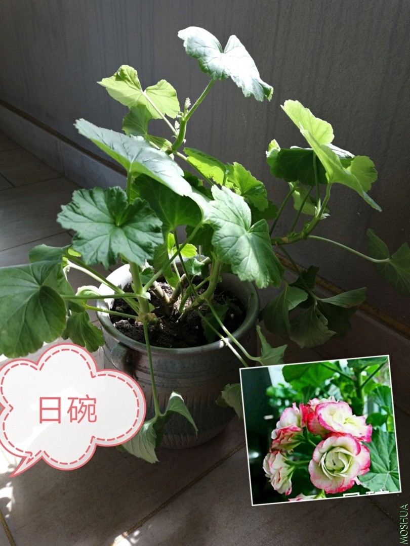 72D78932-FE06-4DDB-A55E-E8A7434105A9.jpeg