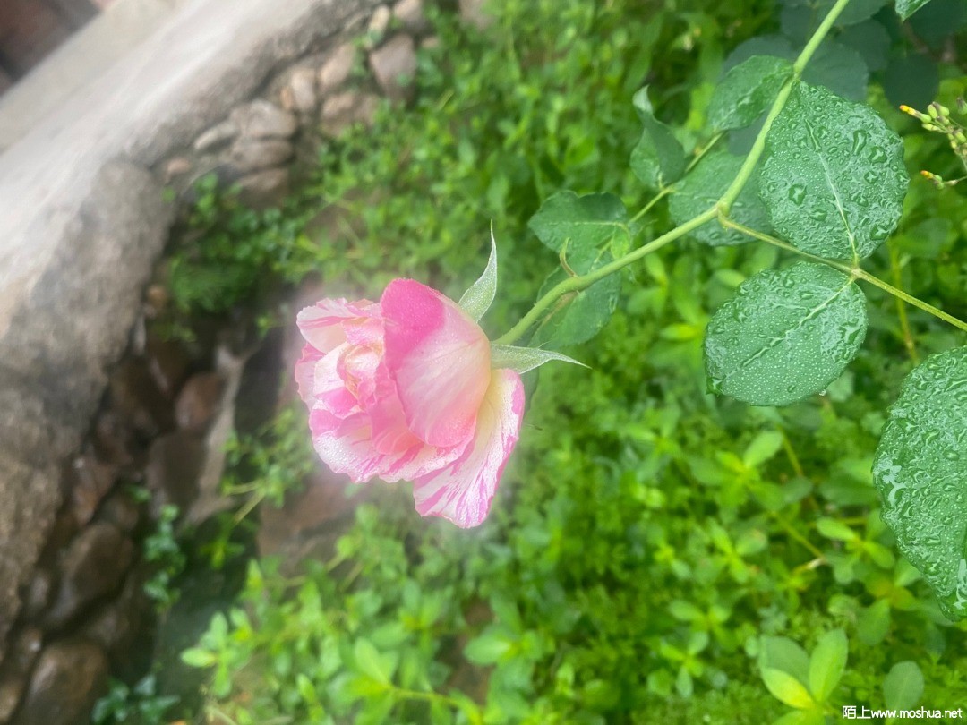΢��ͼƬ_20210407161144.jpg