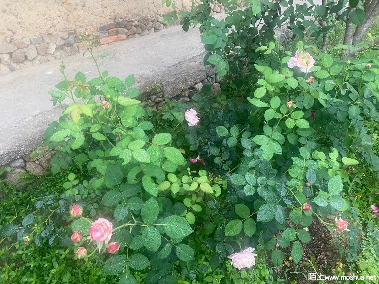 ΢��ͼƬ_20210407161200.jpg