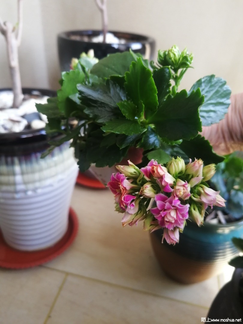 5F3A1F5A-E9F8-449A-BA5B-B269221ED758.jpeg