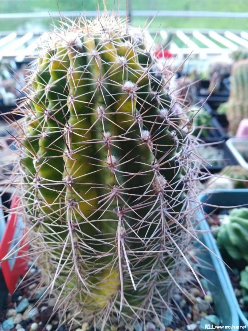 ΢��ͼƬ_20210410060435.jpg