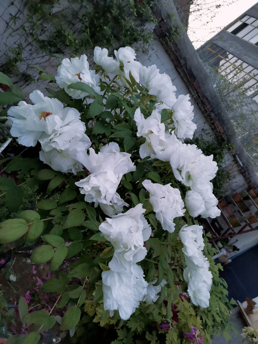 retouch_20210410112125.jpg