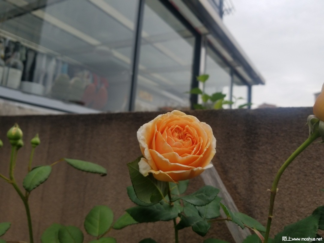 ΢��ͼƬ_202104111243324.jpg