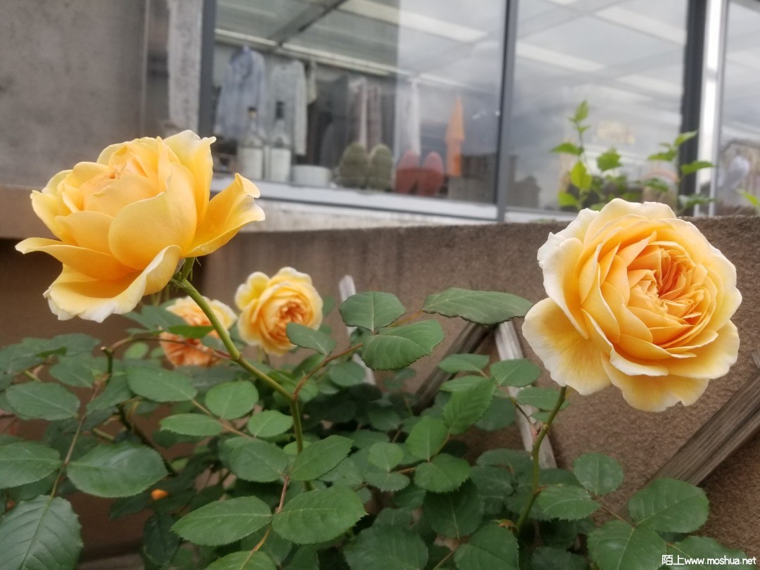 ΢��ͼƬ_202104111243326.jpg