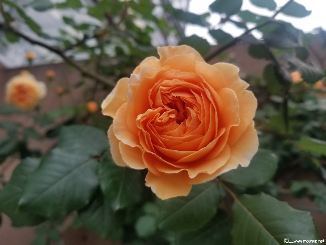 ΢��ͼƬ_202104111243328.jpg