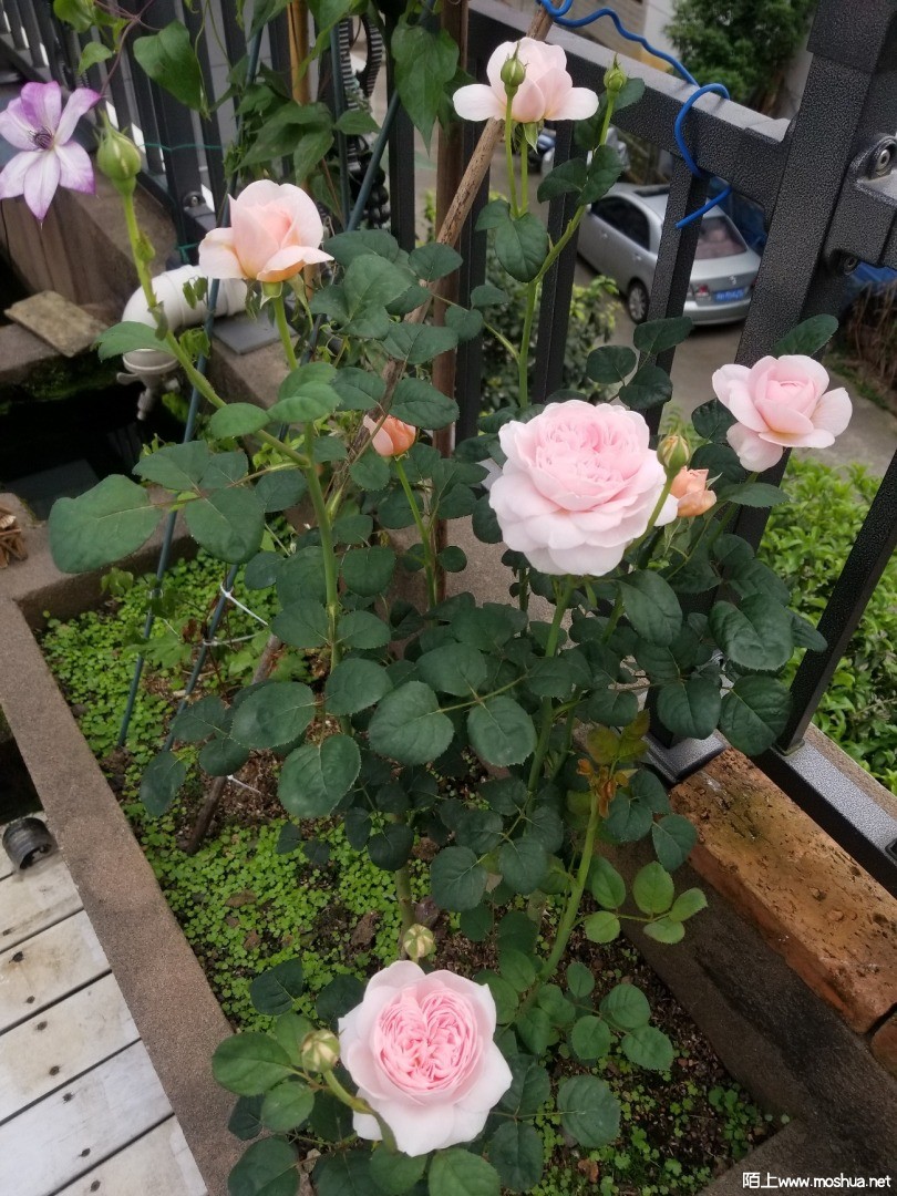 ΢��ͼƬ_202104111243329.jpg