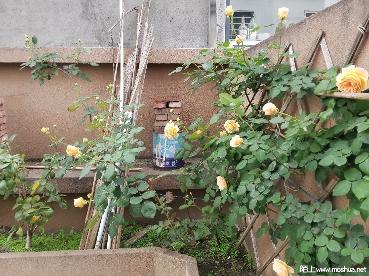 ΢��ͼƬ_2021041112433211.jpg