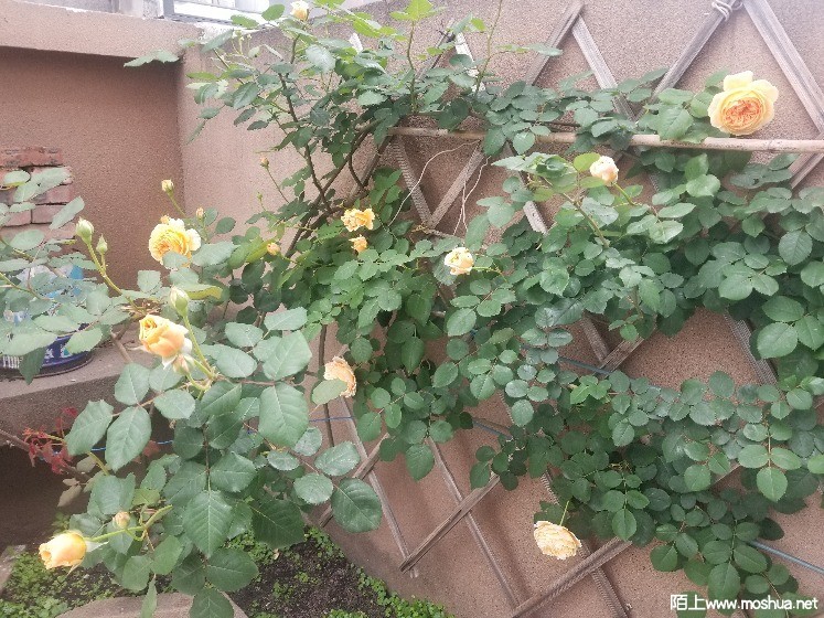 ΢��ͼƬ_2021041112433215.jpg