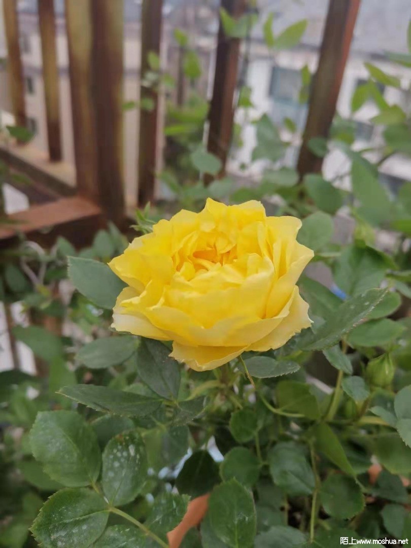 ΢��ͼƬ_20210412154134.jpg