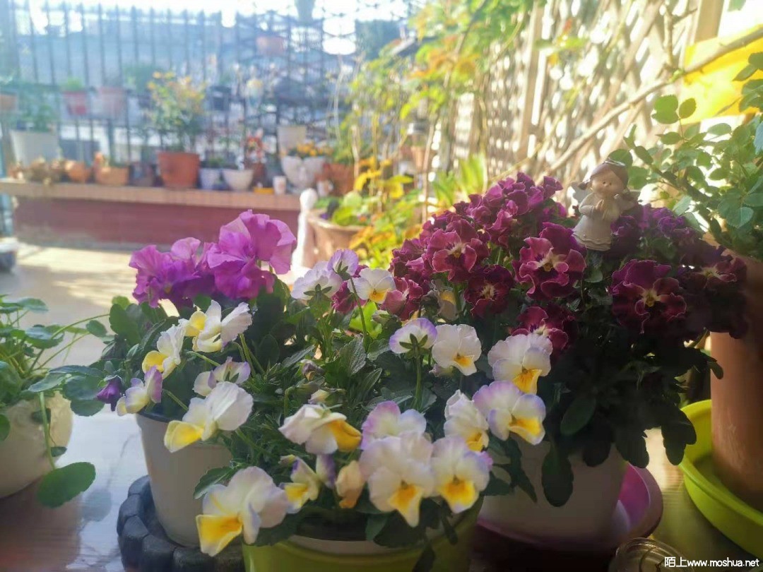΢��ͼƬ_20210412154130.jpg