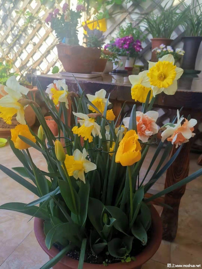 ΢��ͼƬ_20210412154125.jpg