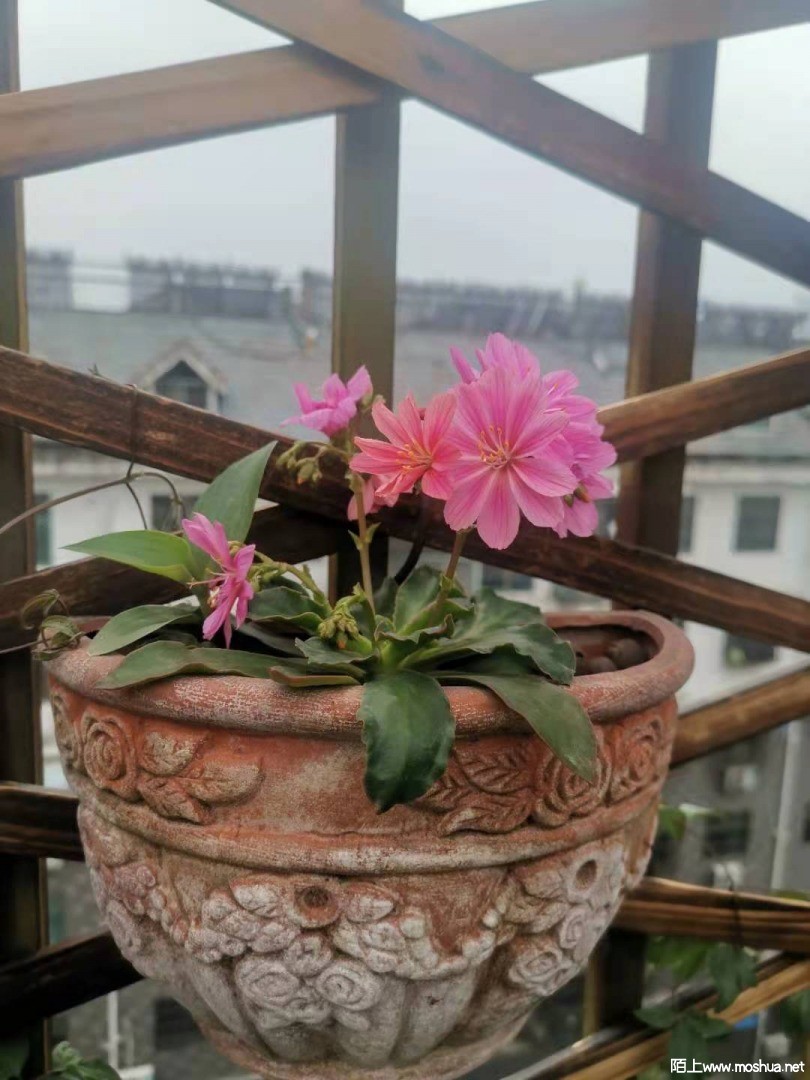 ΢��ͼƬ_20210412153757.jpg