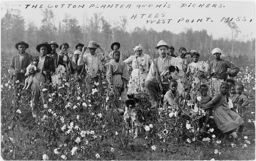 1200px-Cotton_planter_and_pickers1908.jpg