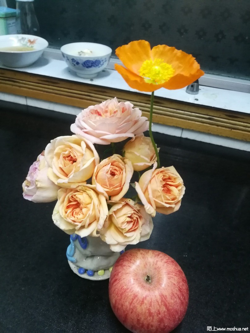 IMG_20210415_185520.jpg