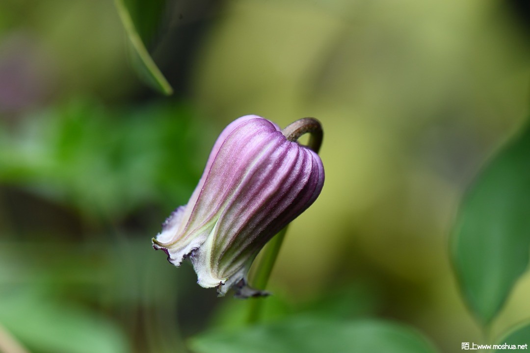 DSC_6122.JPG