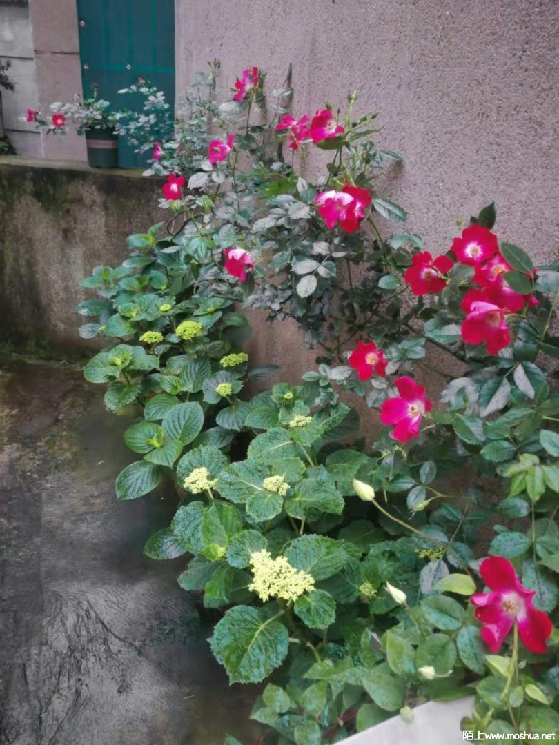 ΢��ͼƬ_20210419191412.jpg
