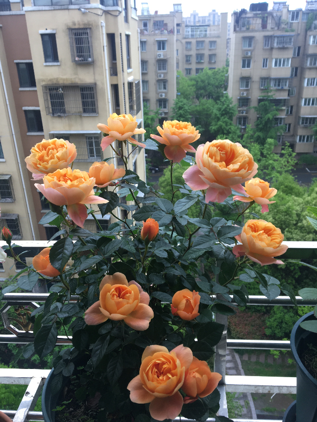 D048DD57-FF9C-46D4-9A0A-80967675A123.jpeg