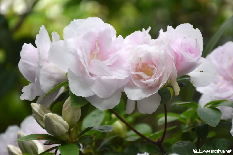 DSC_01170117.JPG