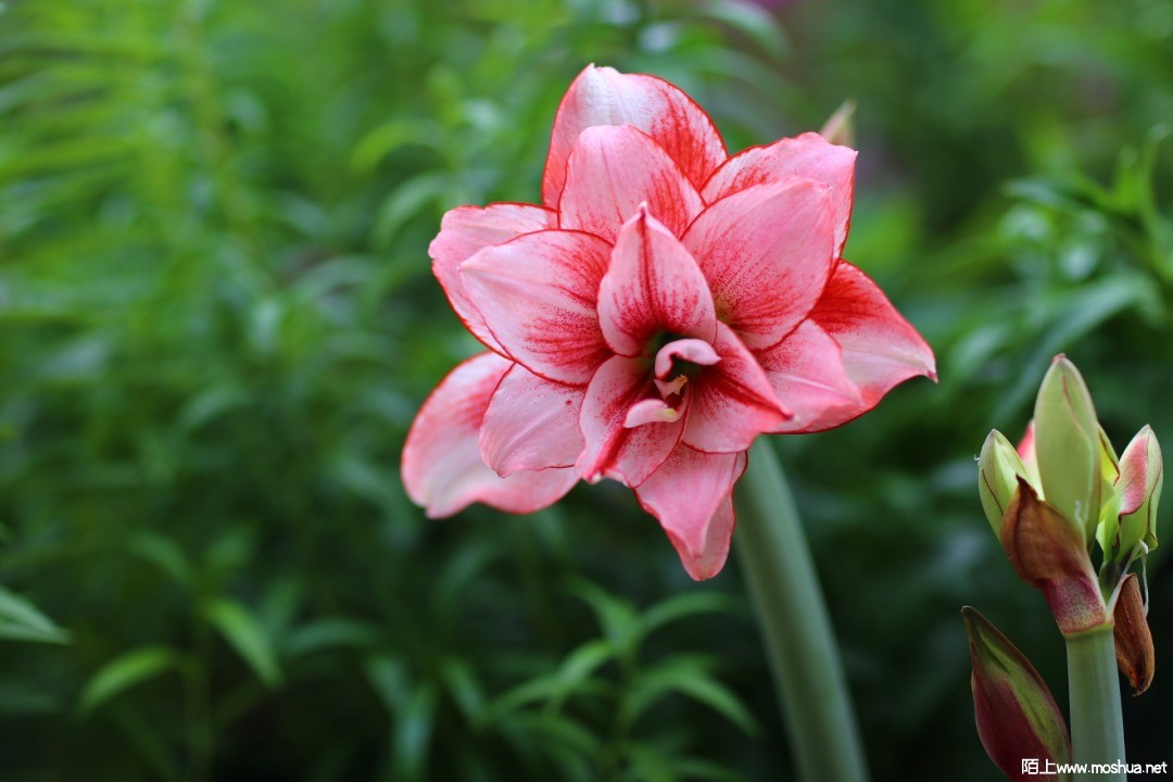 2021-04-24 111927.jpg