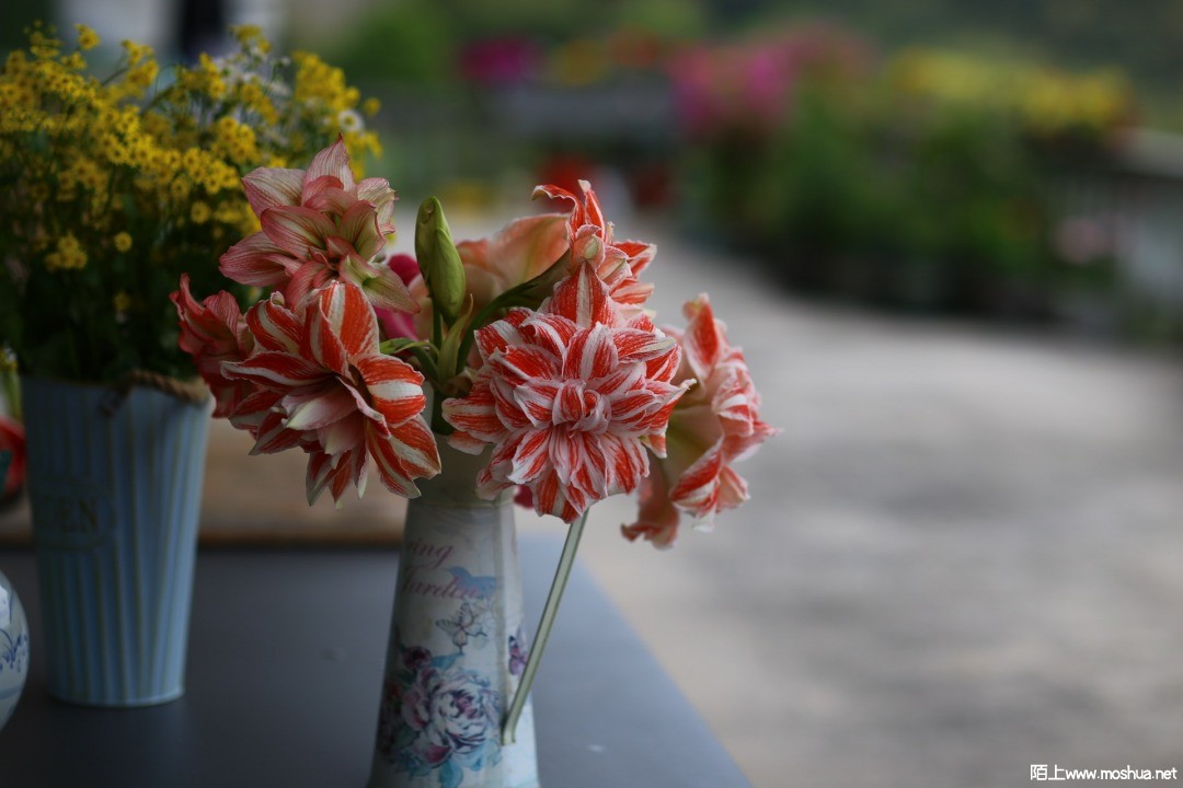 2021-04-24 163836.jpg