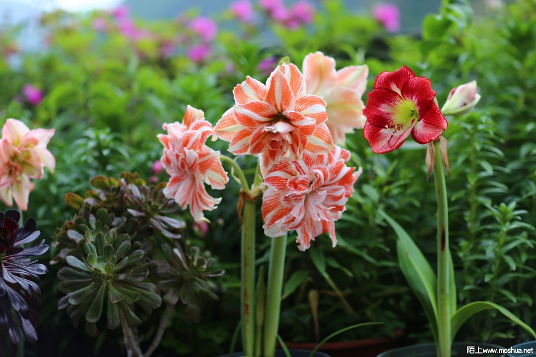 2021-04-24 142708.jpg