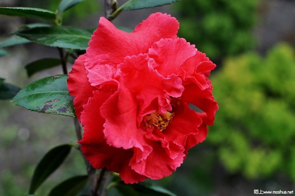 �ȶ������ (32).JPG